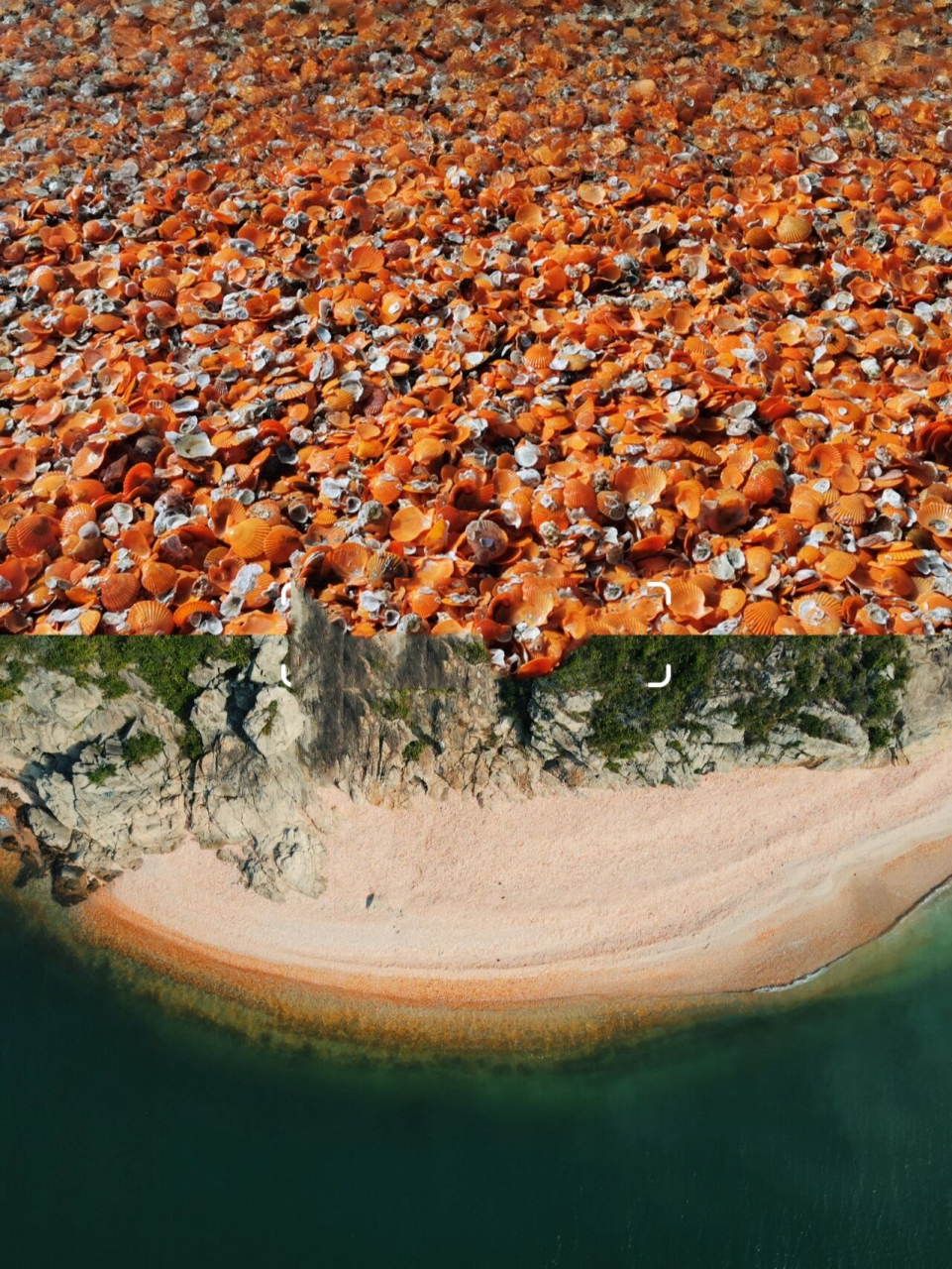 这才是汕尾第一网红海滩,遍地彩色贝壳92 汕尾的海滩千千万92不是