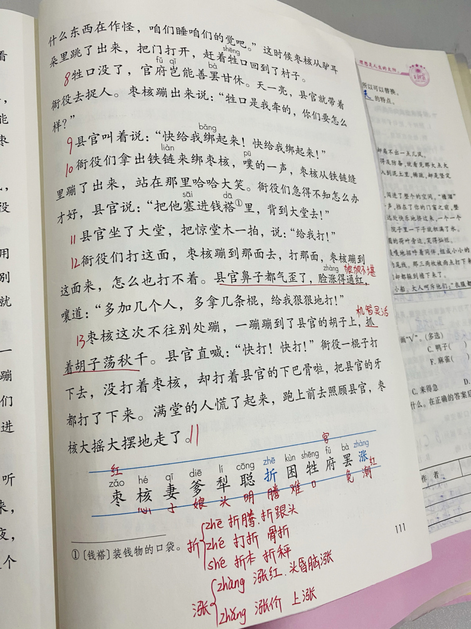 小学语文部编版三年级下册第28课 第28课《枣核》