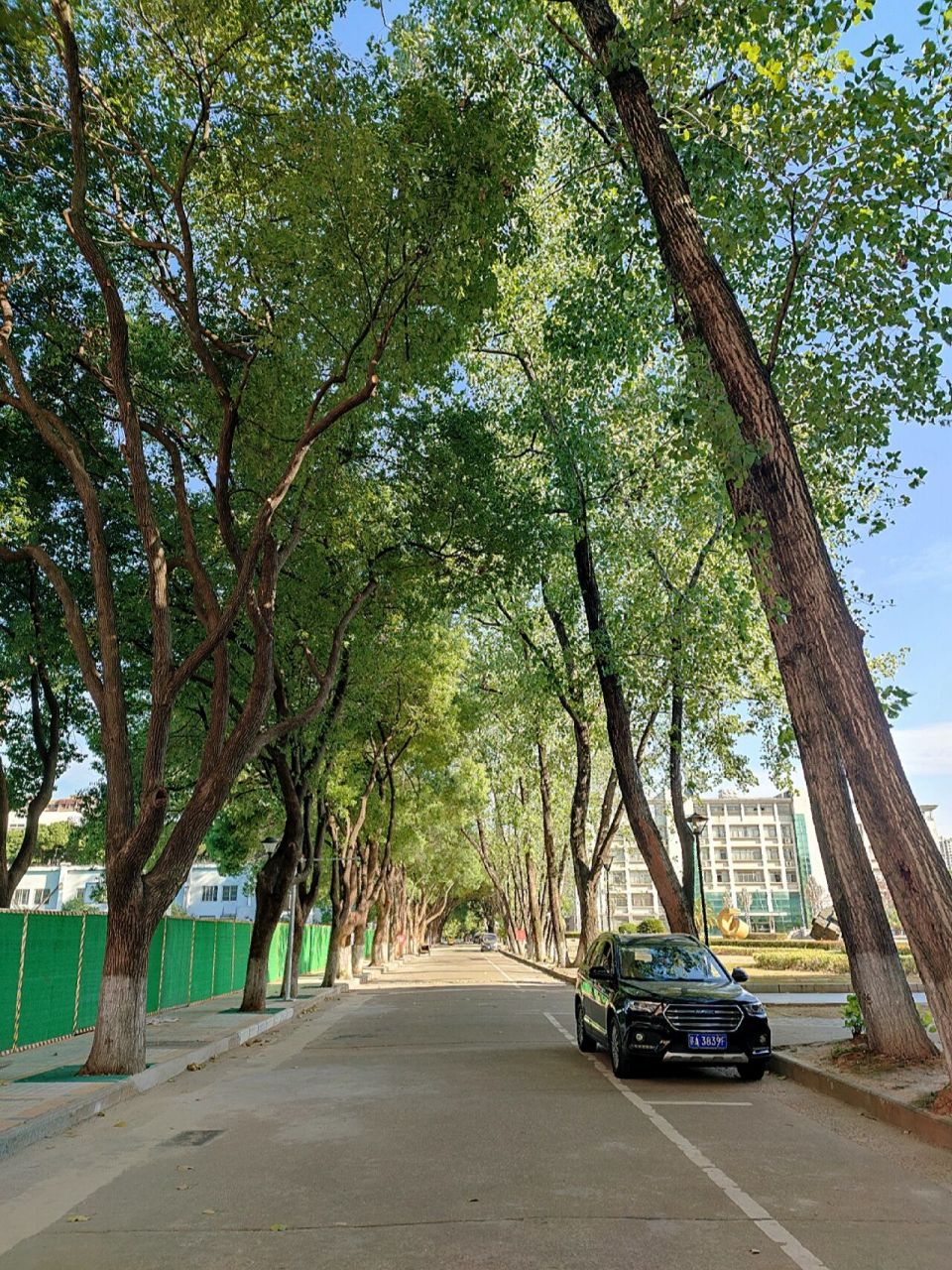 90再见 96江财枫林园00 终于离开枫林园了