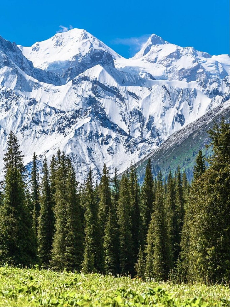 一年四季的手机壁纸,都被新疆承包了99 新疆的四季,草原花海93