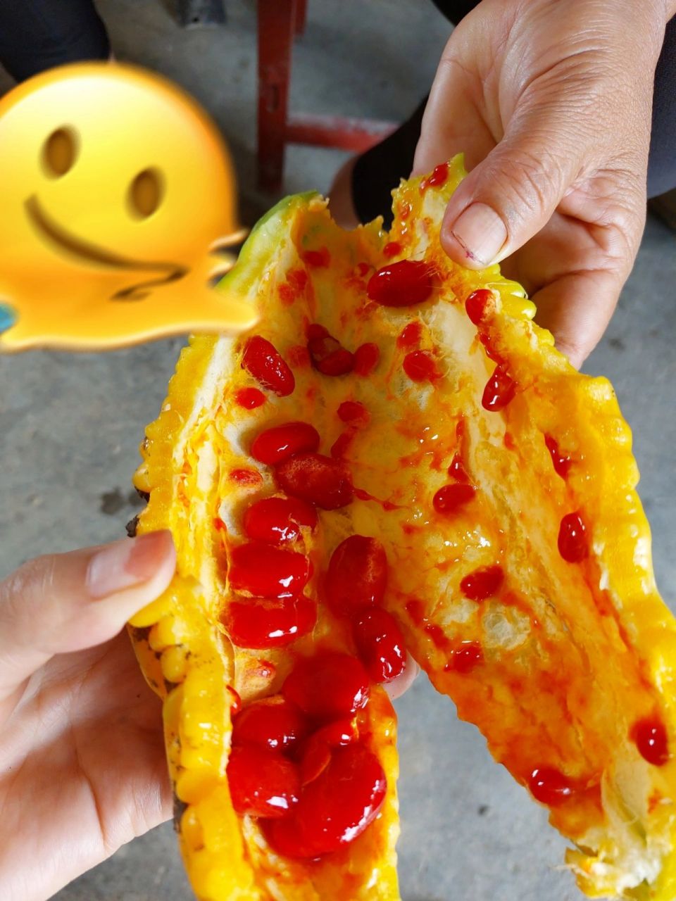 苦瓜的籽变红了可以吃吗 各路兄弟姐妹,刚从菜地摘了一个苦瓜,扒开