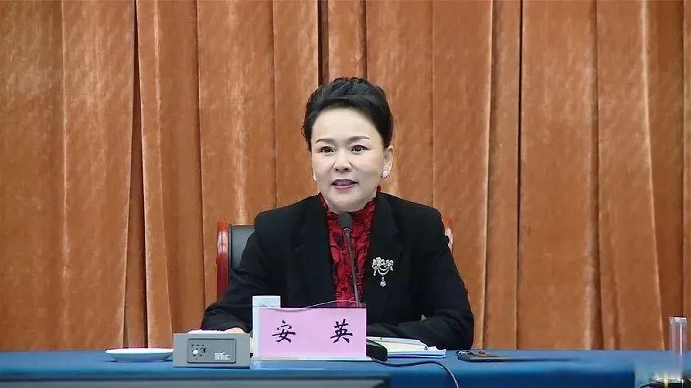 优秀的成功女企业家安英,自从蓝海集团拖欠员工工资一事暴露后,好像销