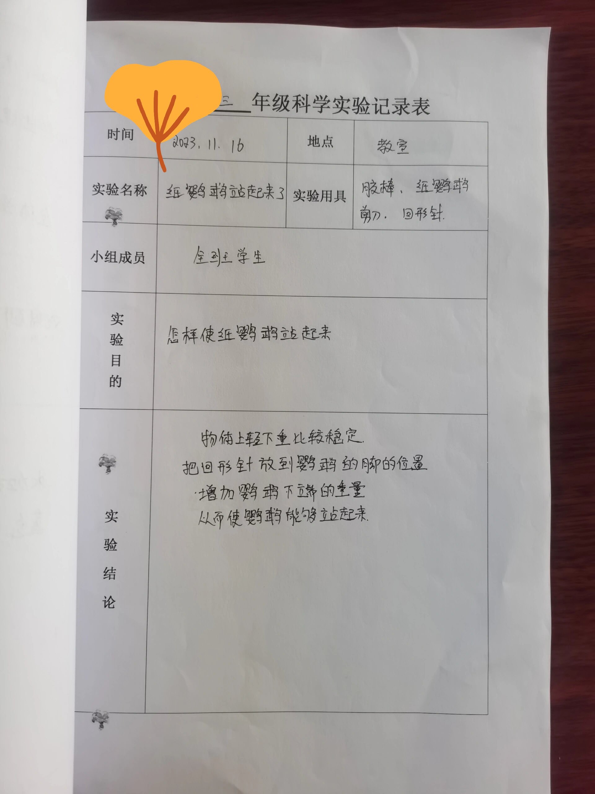 科学实验记录表