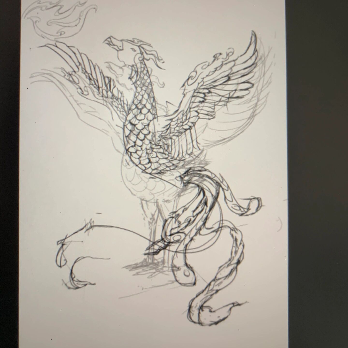 四灵——朱雀 草稿