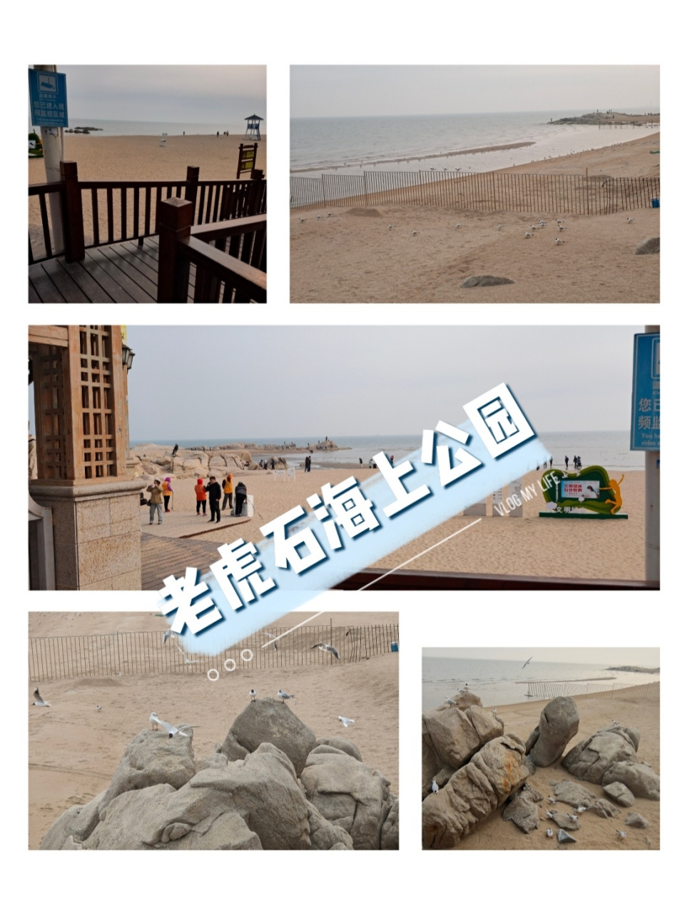 是下午到达的老虎石海上公园,二三张是公园外面拍的,进公园需要买门票