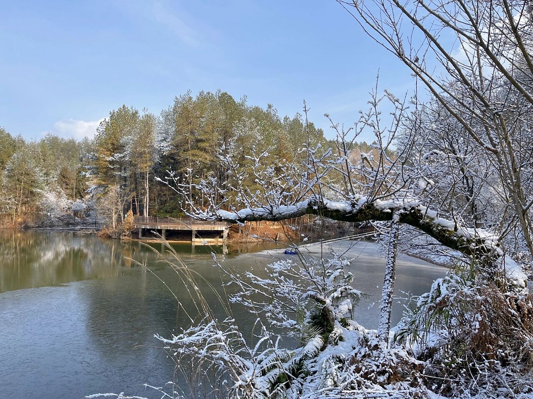 《广元苍溪·三溪口森林公园景区》 地点:四川省广元市苍溪县 三溪口