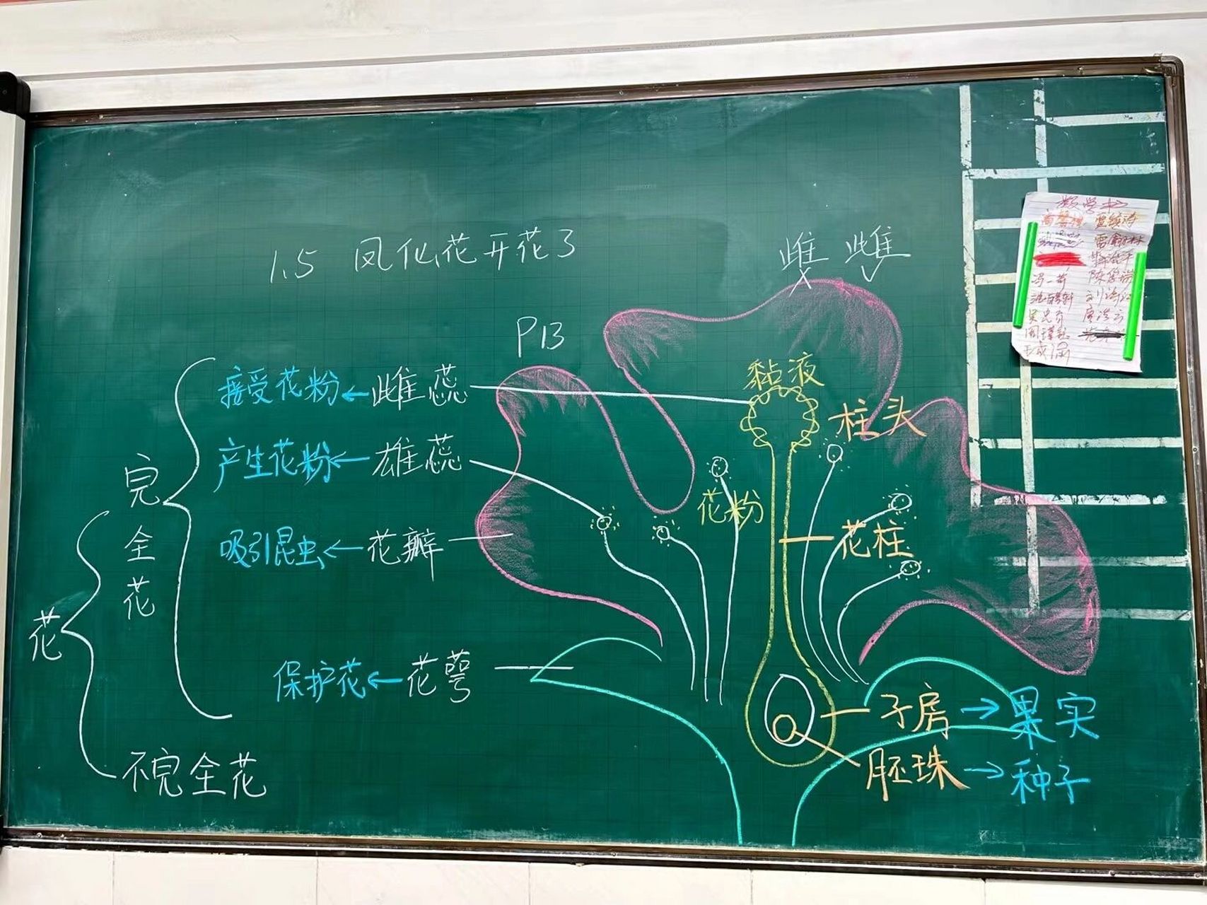 教科版科学四年级下册凤仙花开花了 板书分享