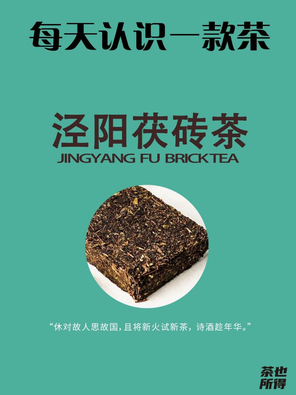 泾阳茯茶十大名牌图片