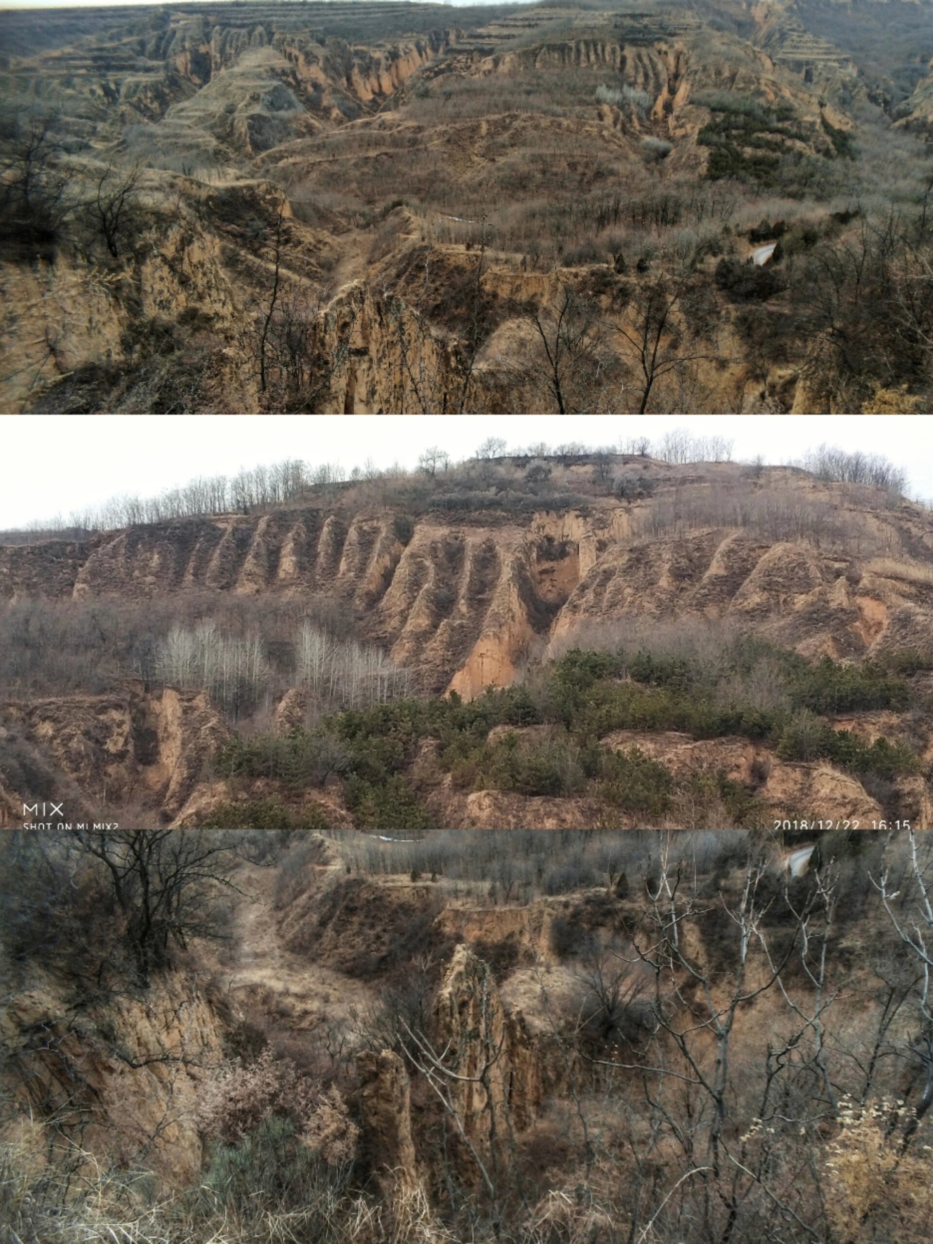 洛川县地貌图片