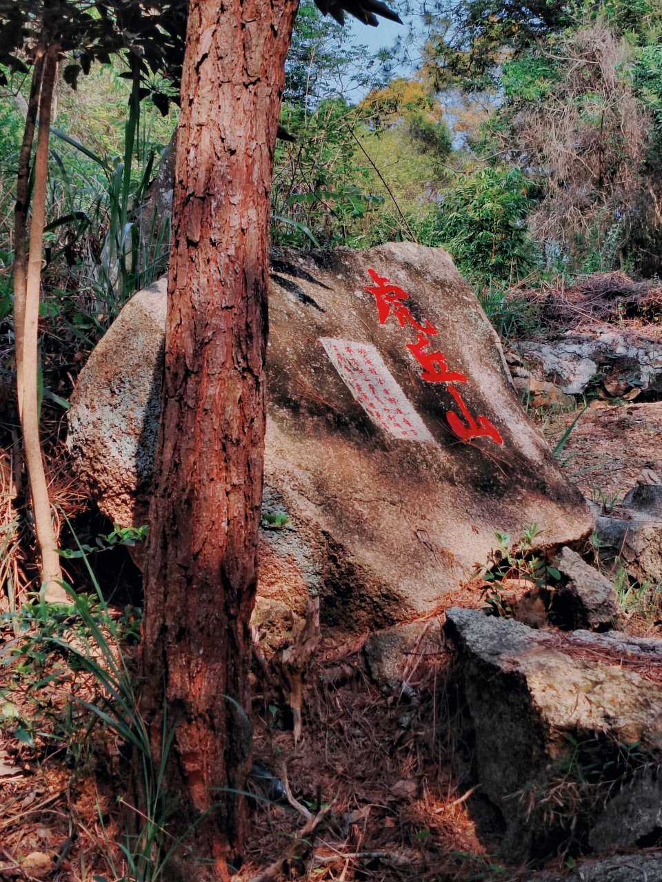 虎丘山 澄海图片