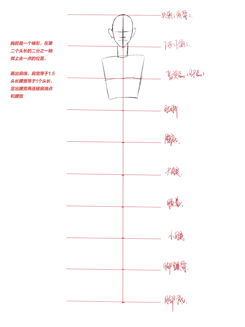 99圣玛丁时装画老师详解手绘九头身人体比例画法99 87151,画