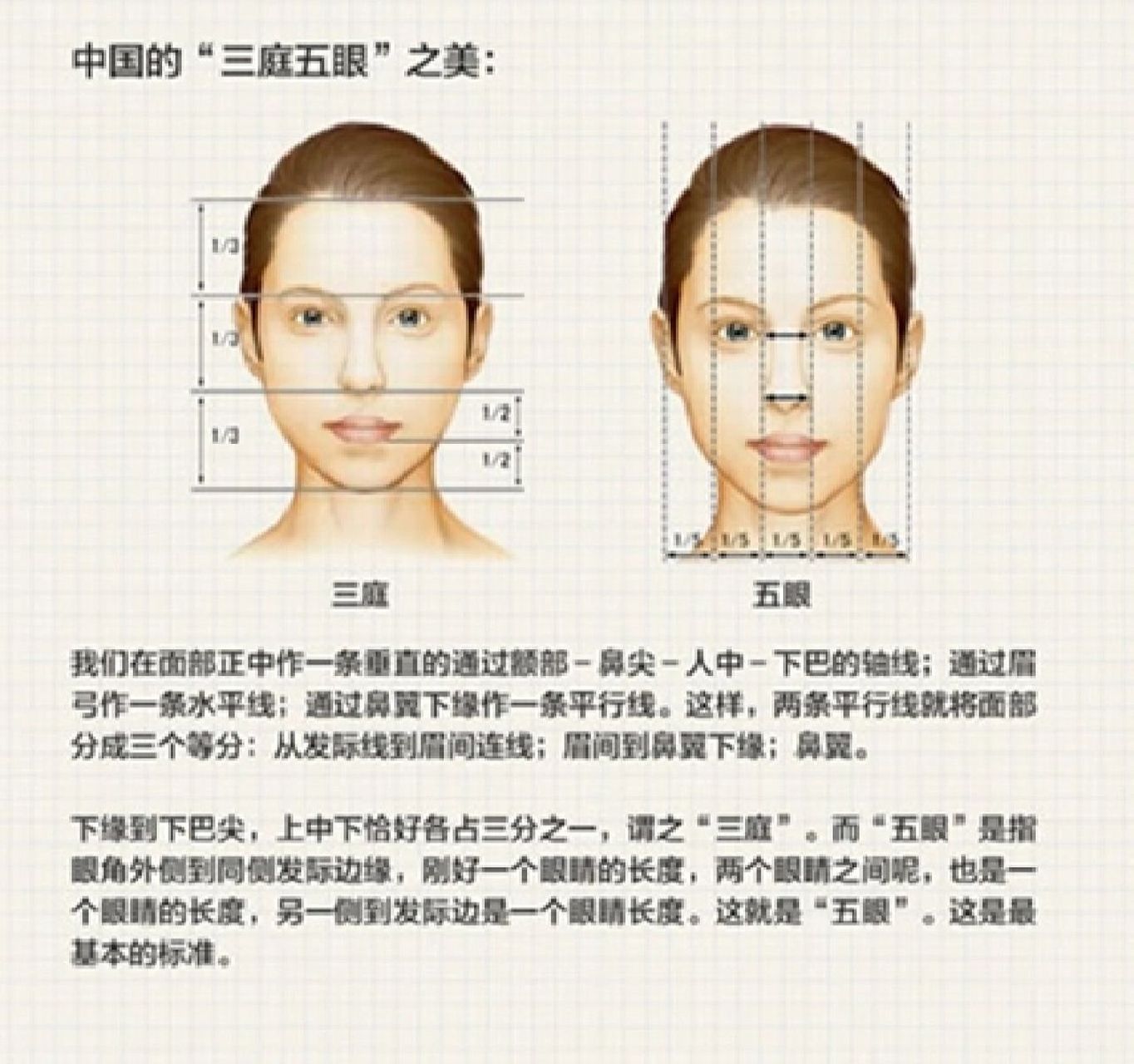 什么是"三庭五眼","四高三低"71 02为什么有的人五官,脸型明明都