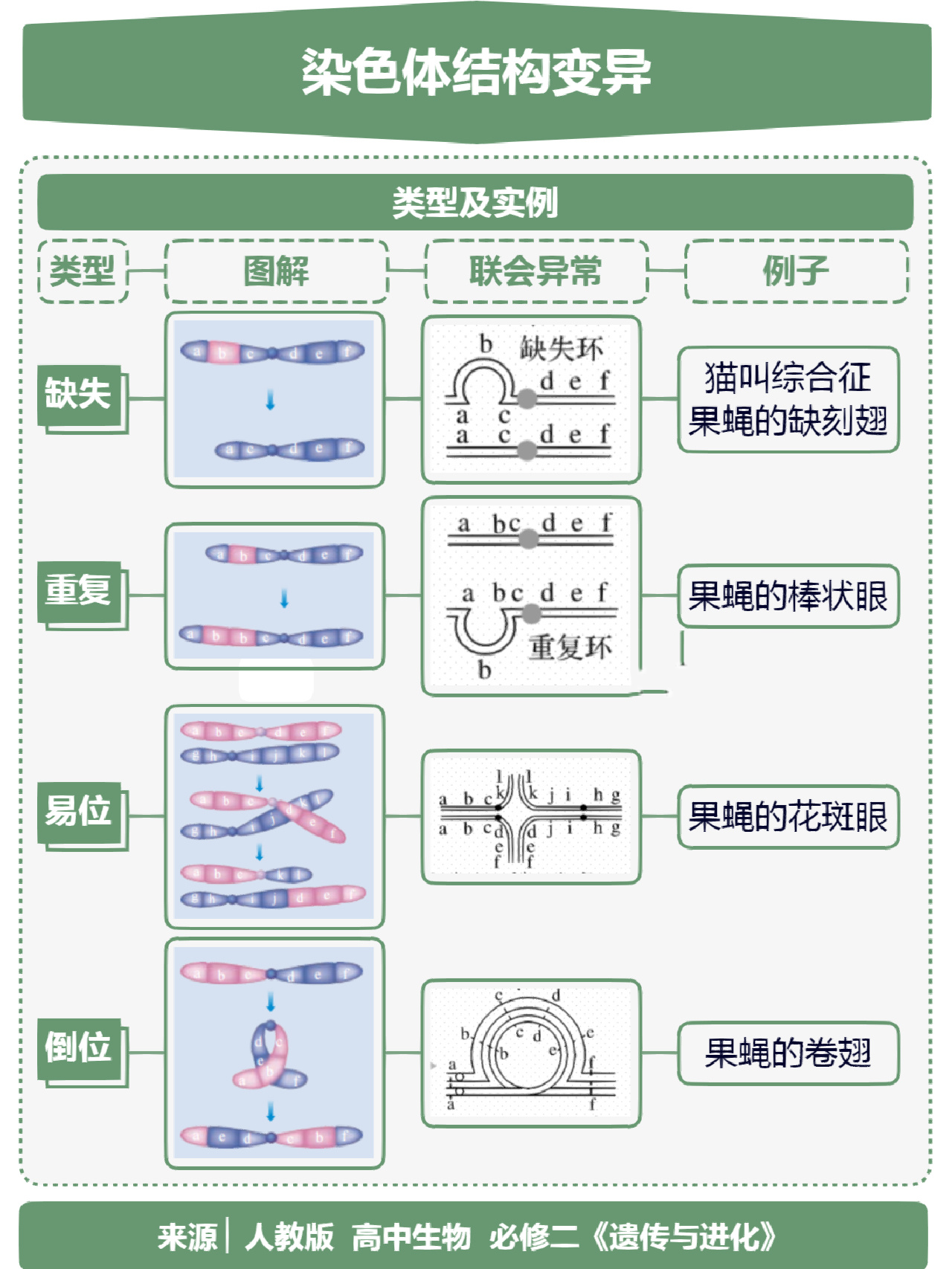 染色体口诀及图谱图片