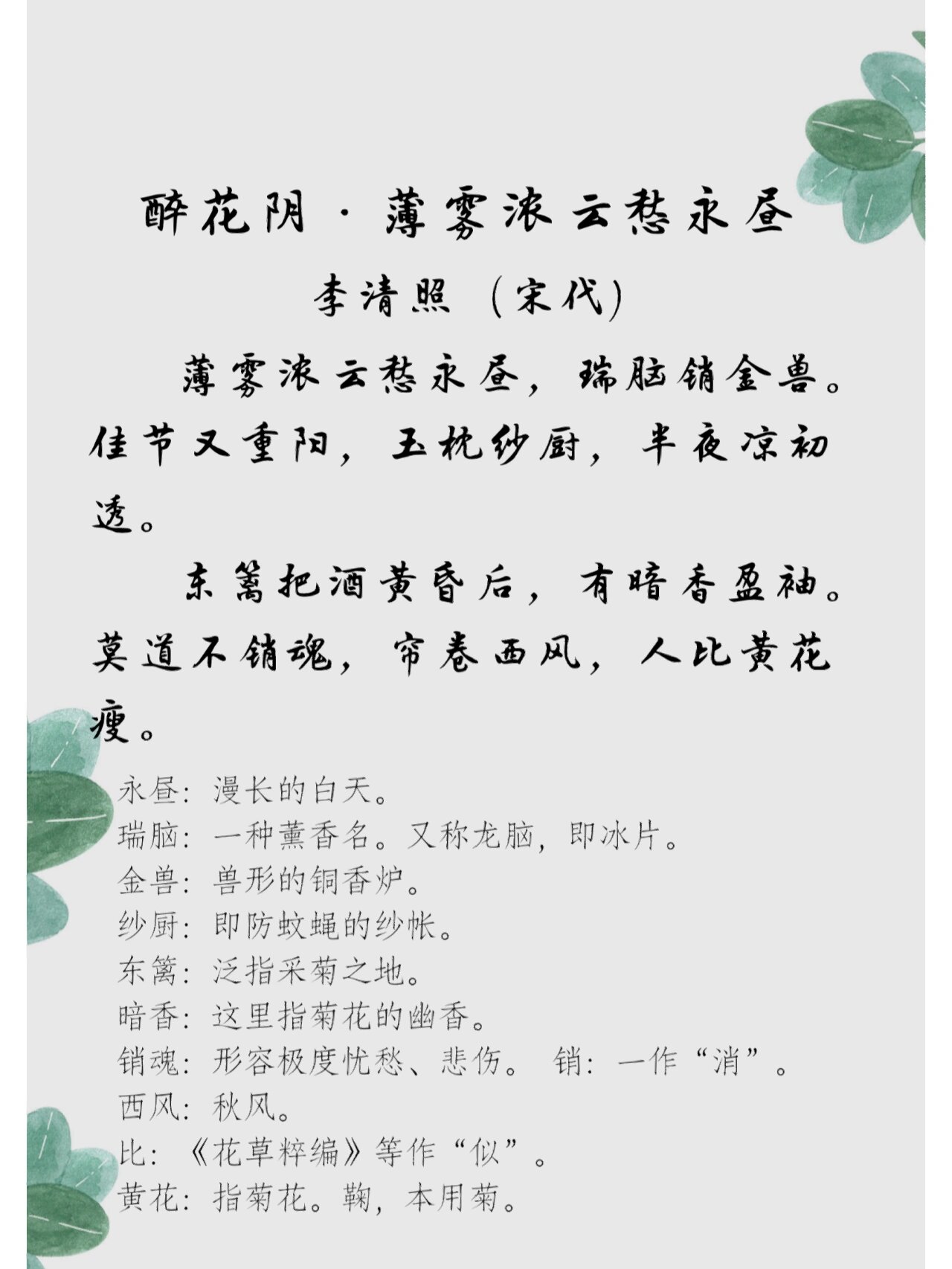 56 每日古诗词(译文 鉴赏) 醉花阴薄雾浓云愁永昼 李清照(宋代) 薄雾