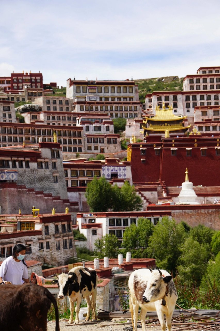 西藏拉萨甘丹寺 围绕措钦大殿展开的寺院建筑群 人工与自然结合的强大