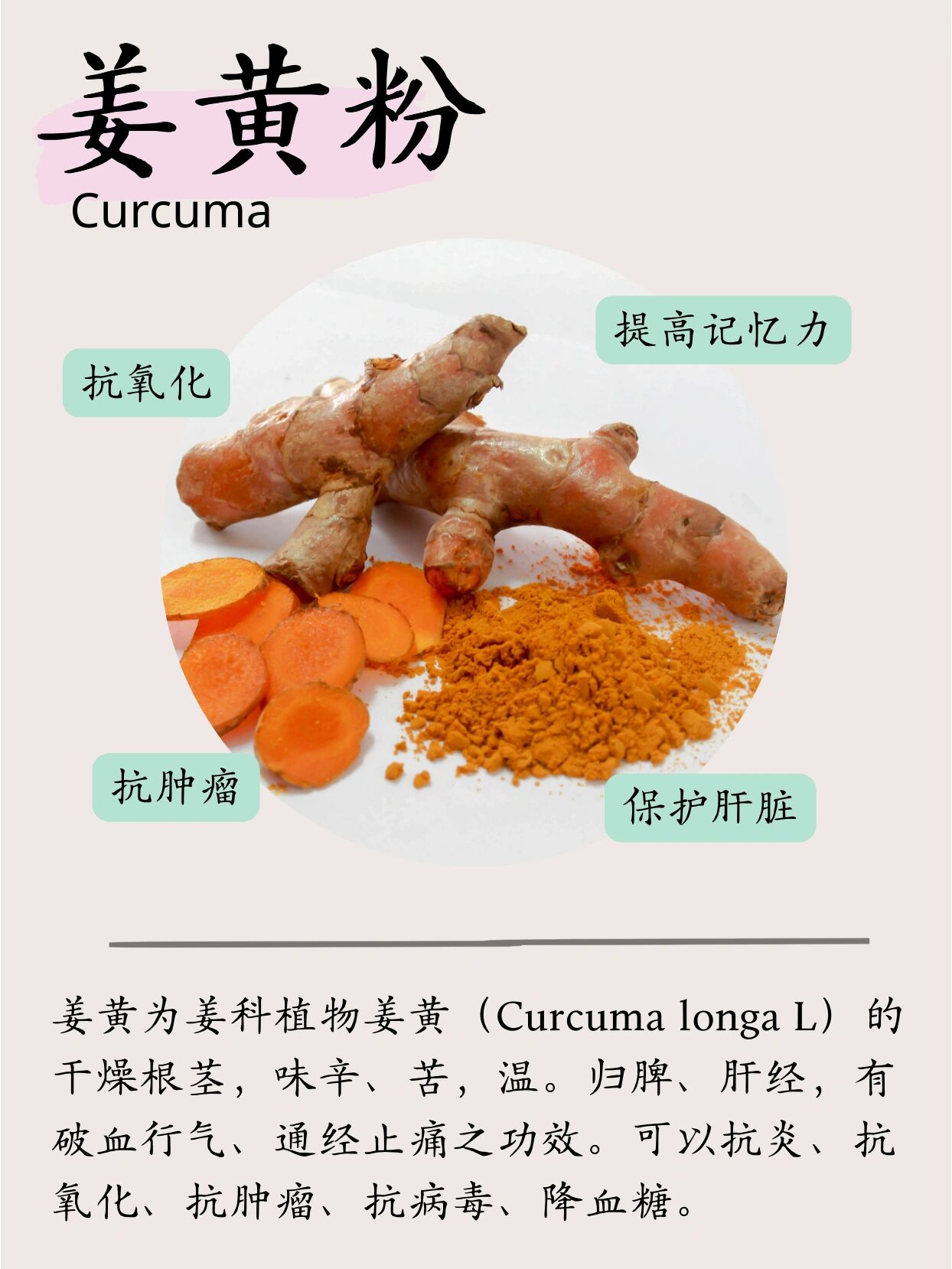 4 | 姜黄 turmeric 姜黄为姜科植物姜黄(curcuma longa l)的干燥根茎