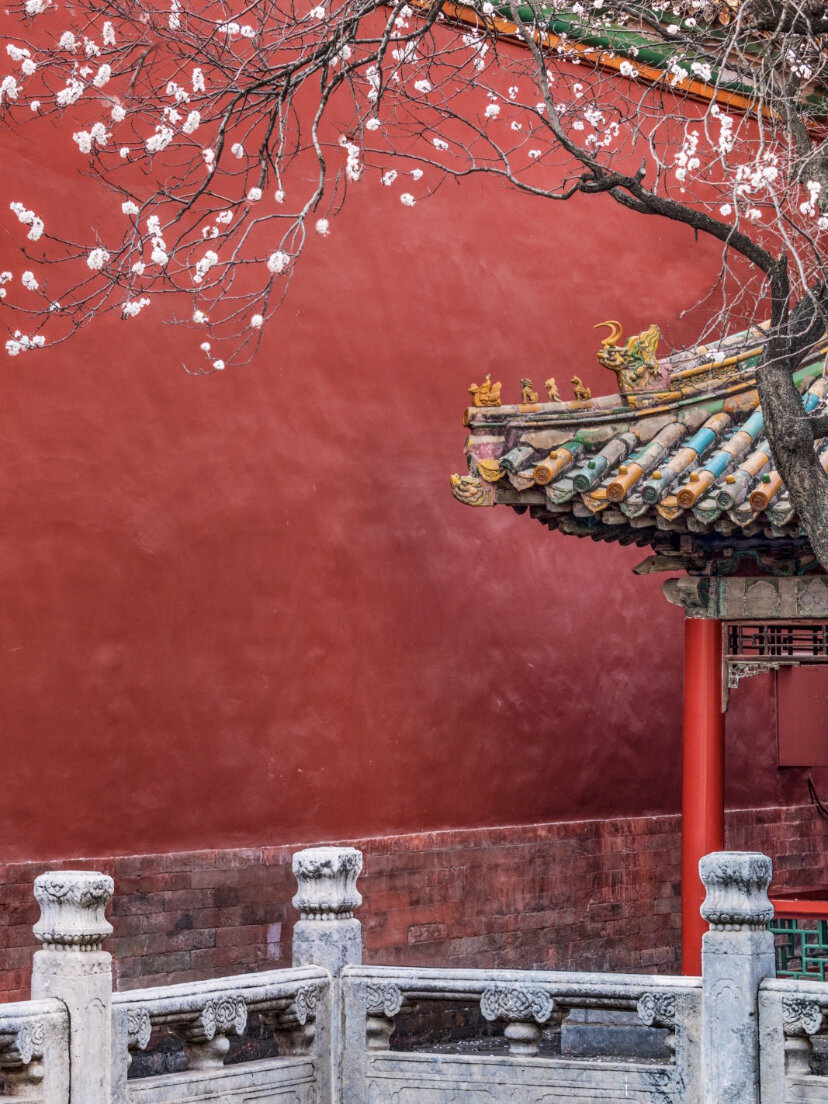 故宫红墙系列素材9图分享