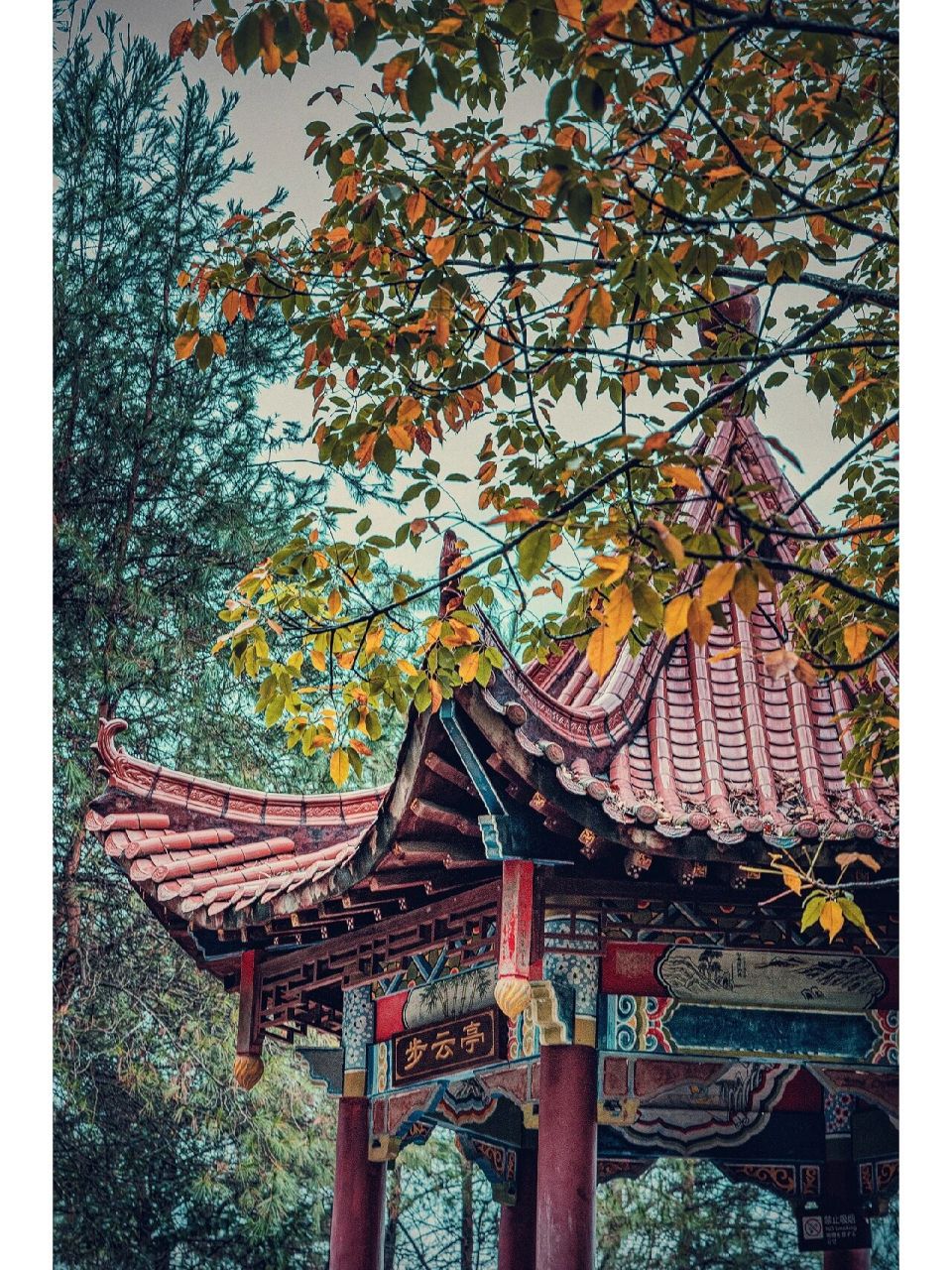 邯郸东山文化公园门票图片