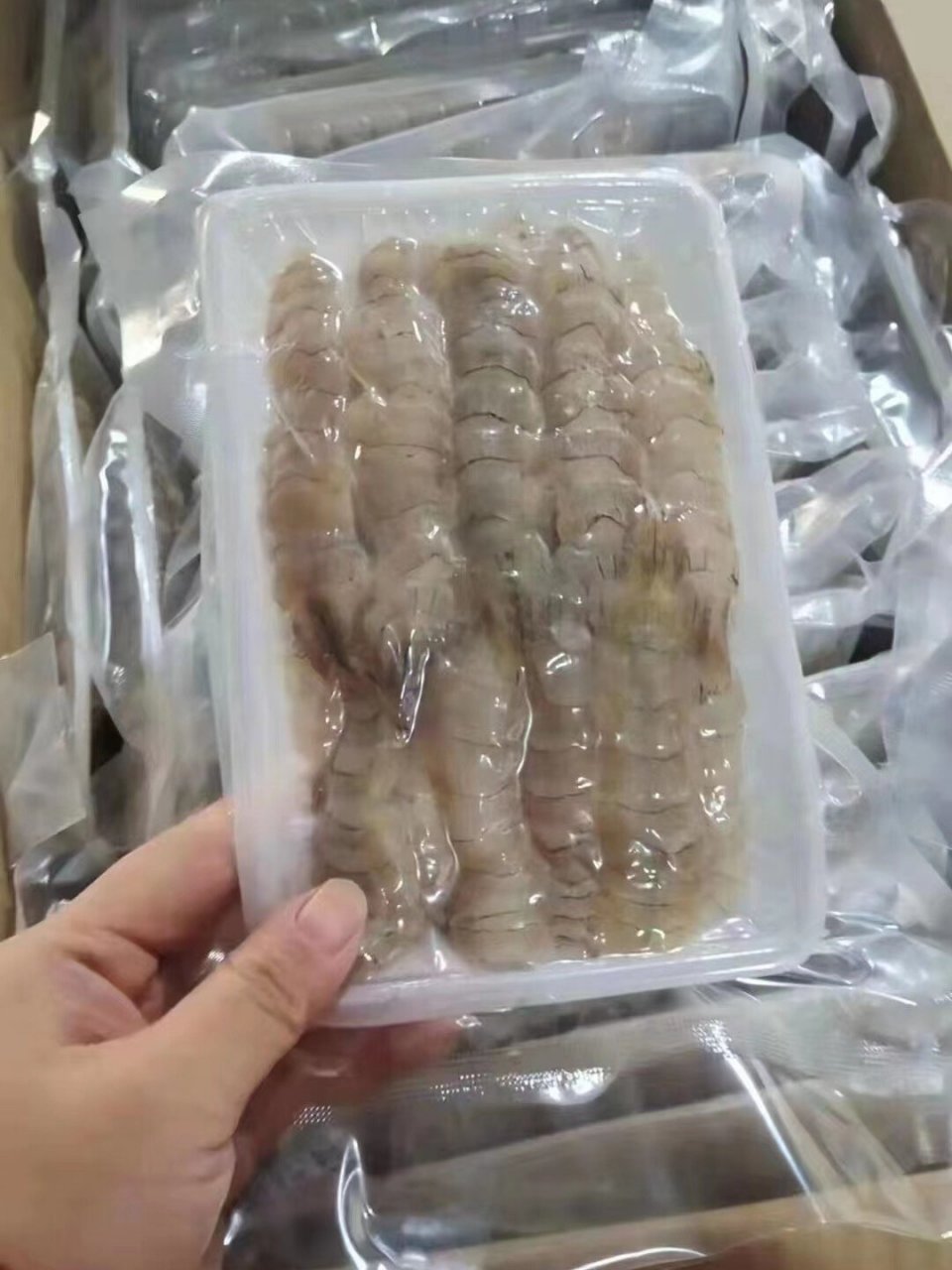 鲜冻皮皮虾肉 原浆生冻,用来做饺子馅,打个虾滑都是非常不错的选择