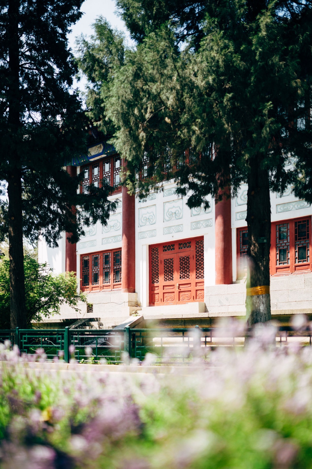 北京大学图书馆壁纸北京中医药大学的春夏秋冬校园景色中山大学蘭 