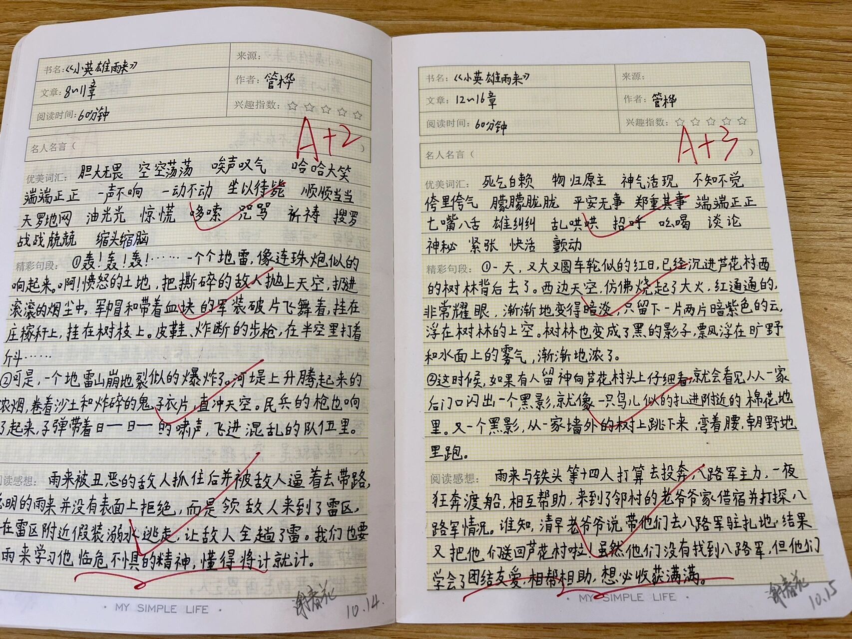 《小英雄雨来》优秀读书笔记      《小英雄雨来》六年级上册必读书目