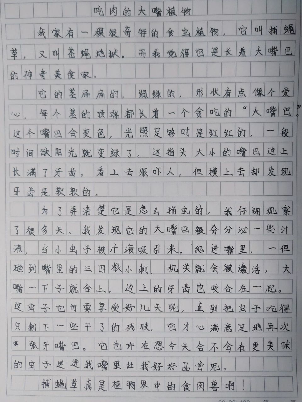 三年级课内作文-细致观察一种植物 家里养的捕蝇草派上用场,好奇的你