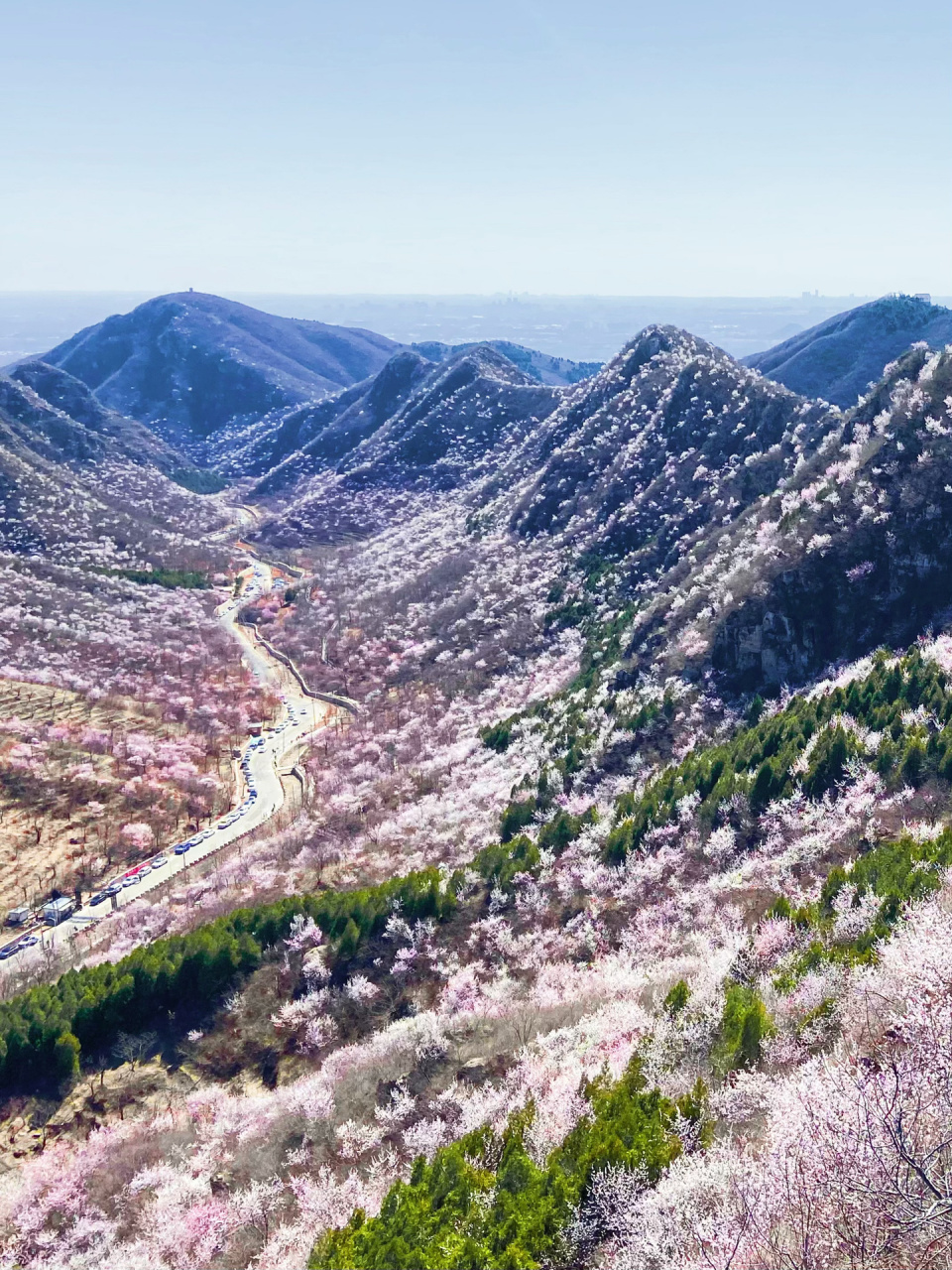 西峪村桃花谷蕞美攻略(独家,含轨迹图) 9499%的游客只是沿着西峪村