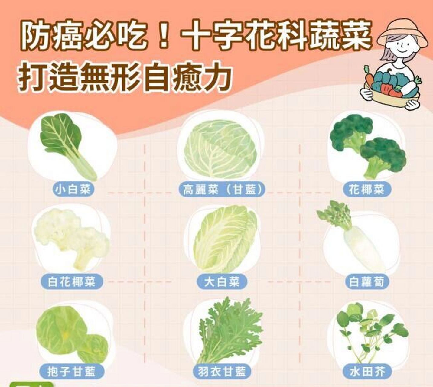 青花菜食用器官图片