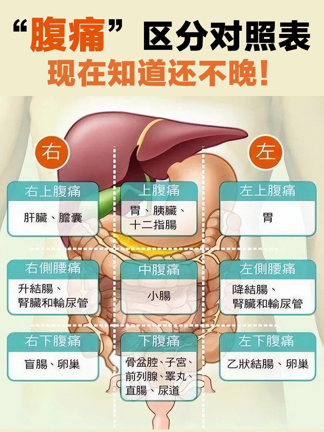 不同位置肚子痛代表什么?