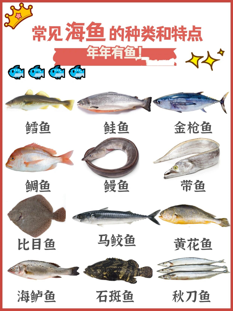 海鱼的品种常见图片
