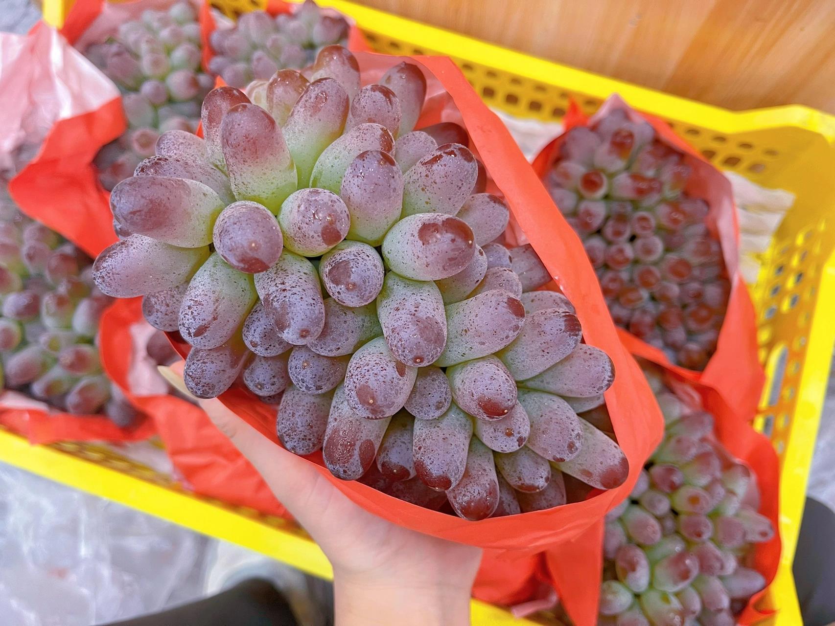 茉莉香葡萄99 可可爱爱的迷你小葡萄-0101 汁水,皮薄,无核 还带