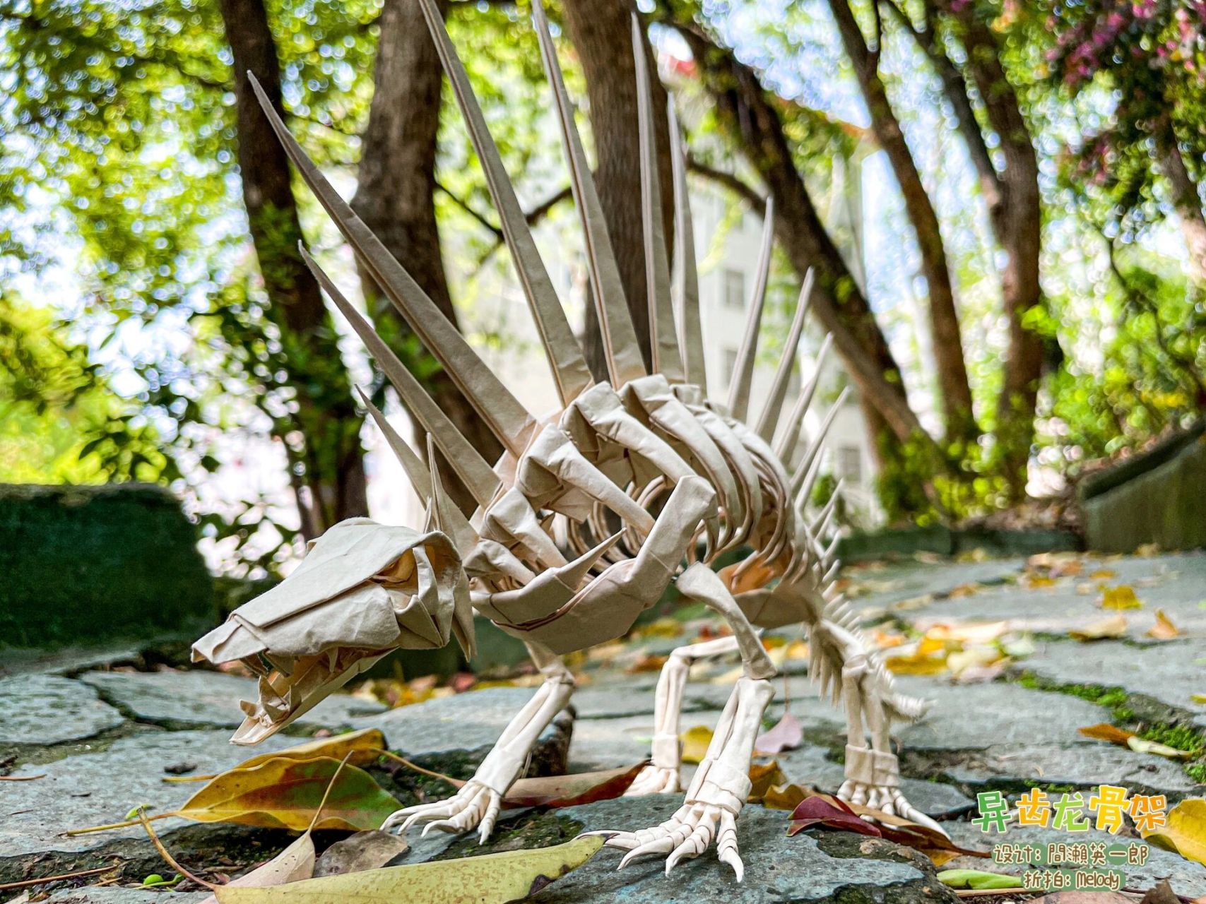 06 异齿龙骨架 设计:間瀨英一郎(eiichiro mase) 折拍:melody 用纸