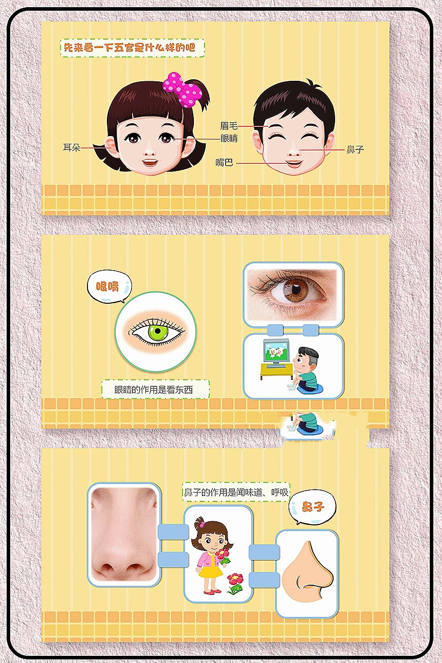 幼儿园中班健康《认识五官》公开课课件ppt