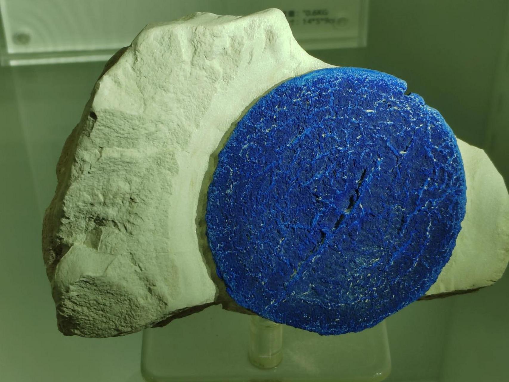 这是一件蓝铜矿标本,奇妙的是几乎被完全包裹在白色粘土岩中,如一轮