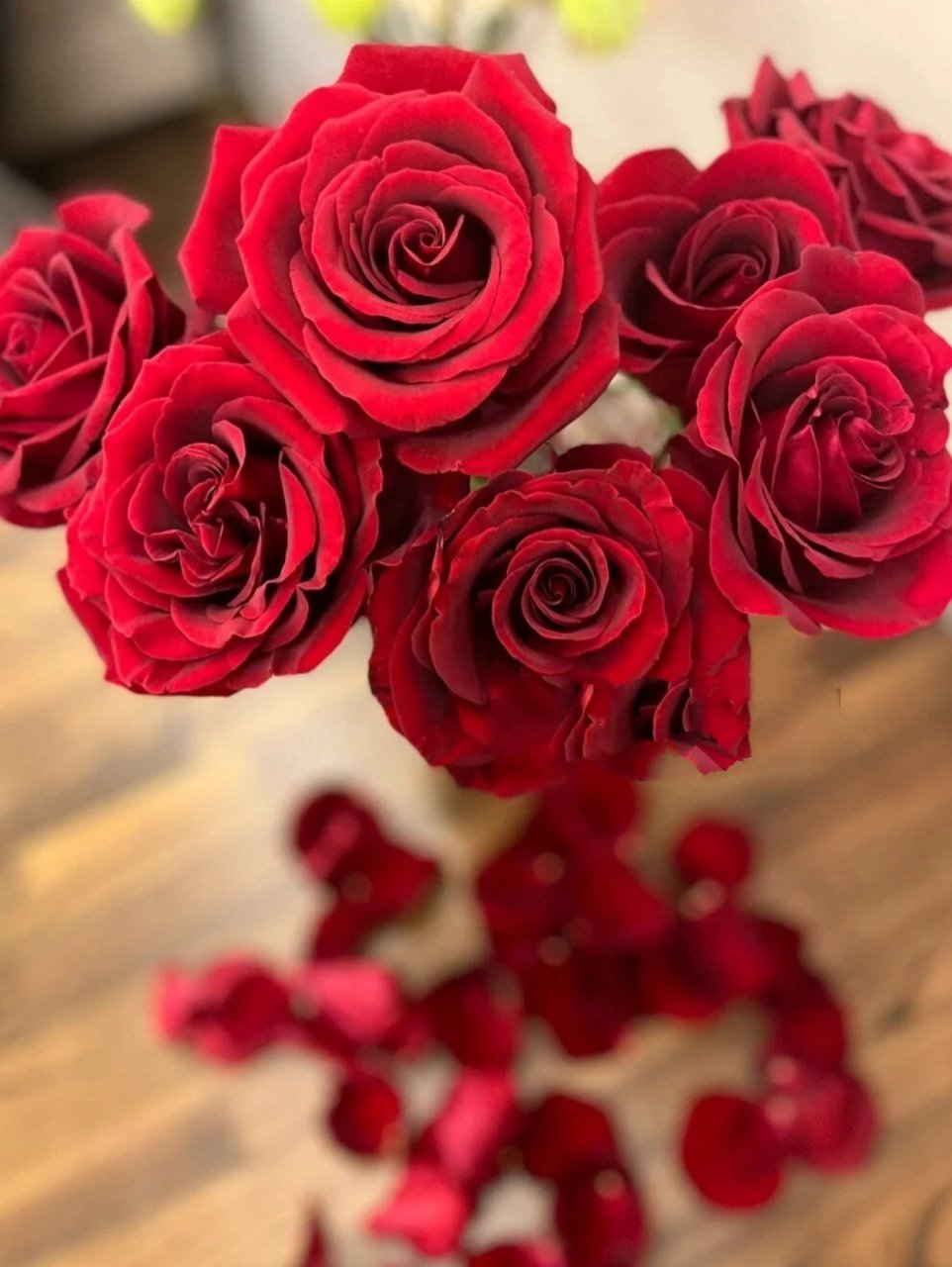 花材分享|20 种花艺常用的红玫瑰 1,传奇 红玫瑰传奇是荷兰的花卉品种