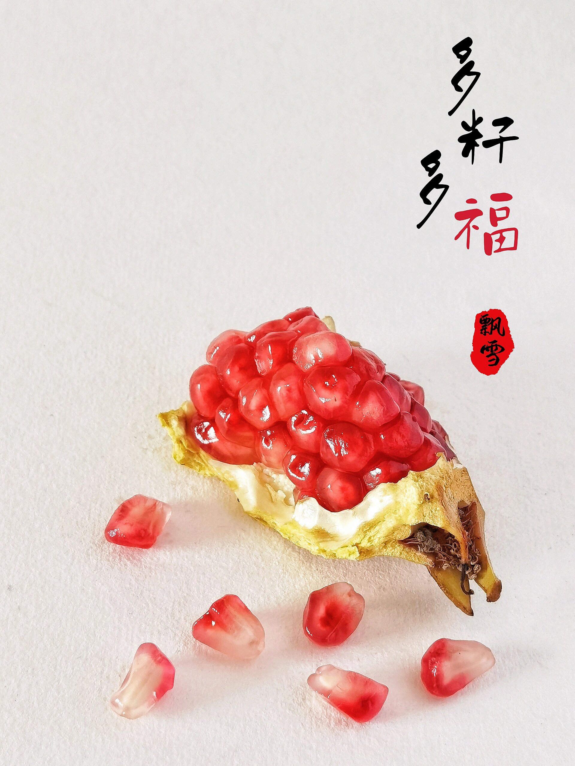 绘画素材266:国画风石榴(一)多子多福