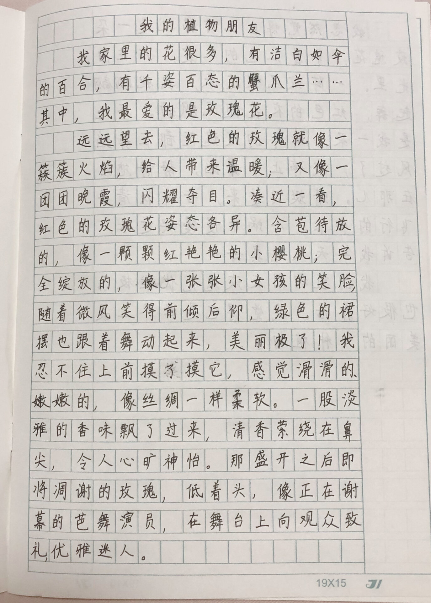 三年级下作文《我的植物朋友》