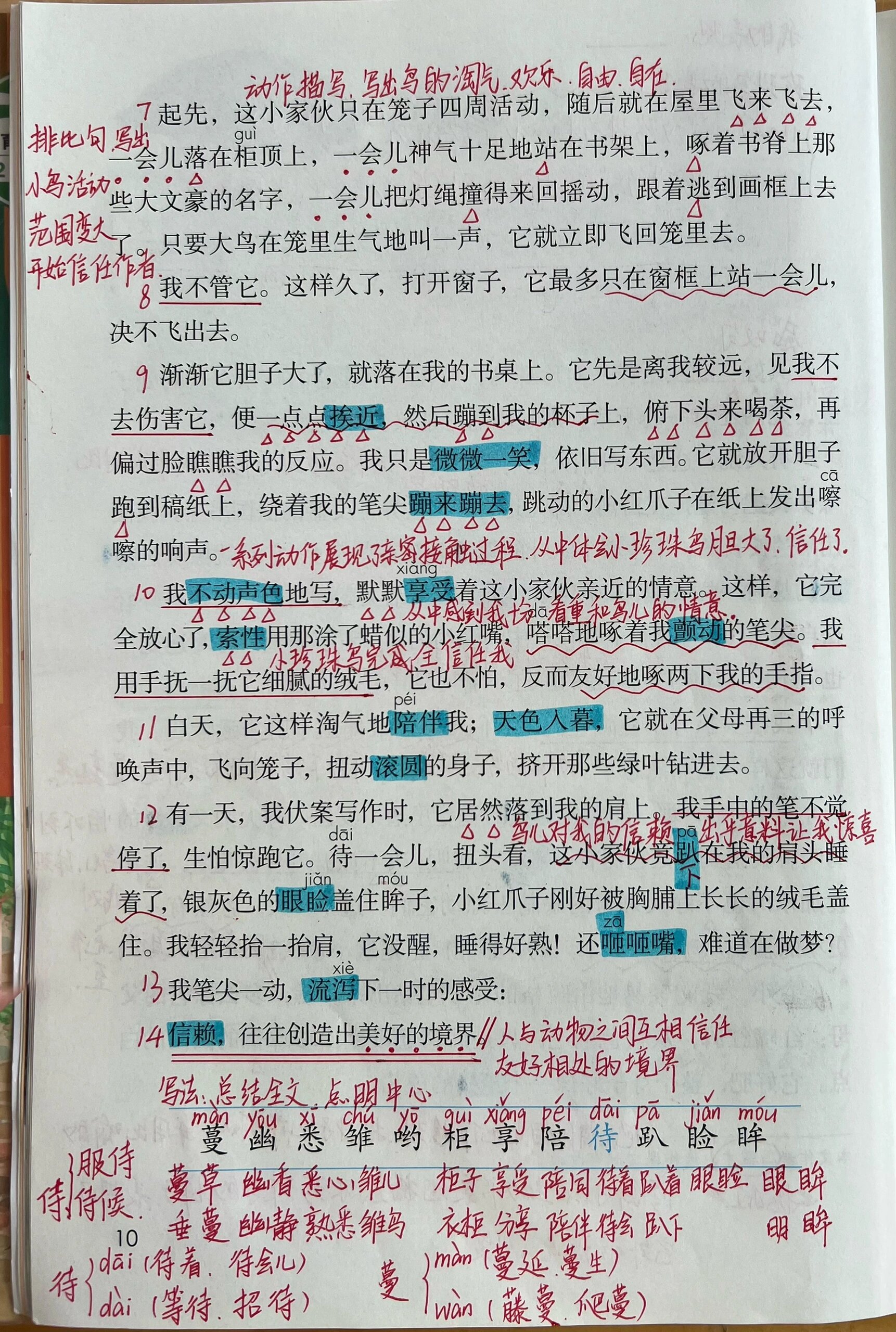 珍珠鸟课堂笔记知识点图片