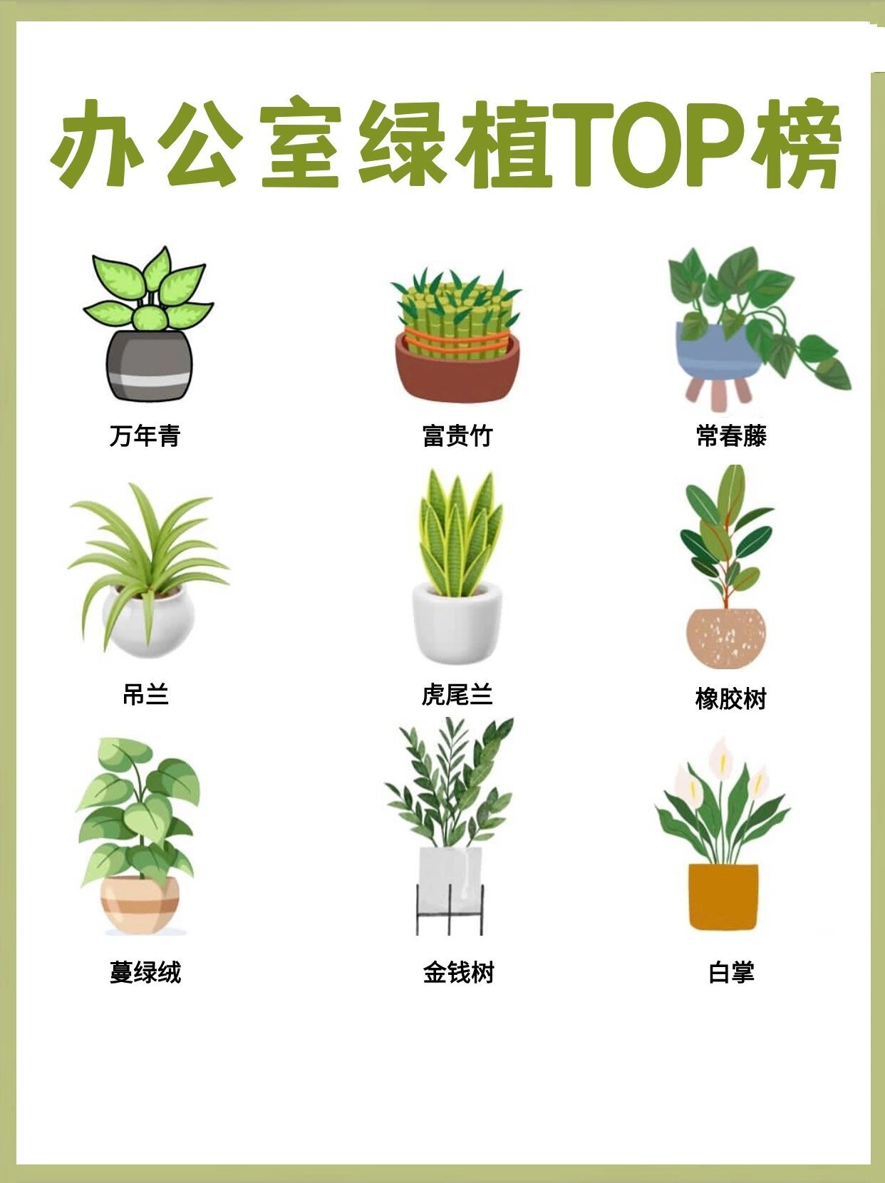 绿植大全名字和图片图片