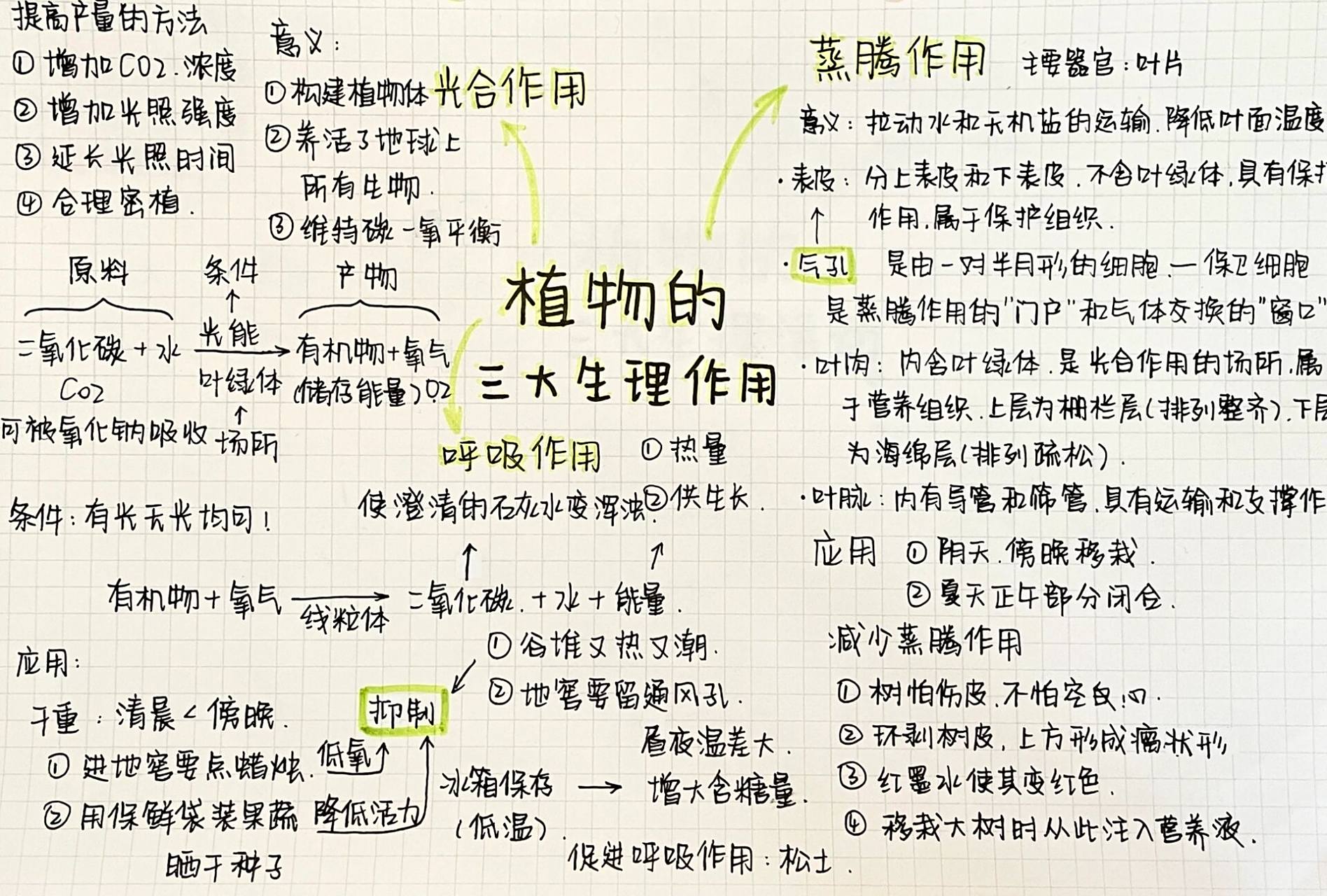 生物-植物的三大生理作用94 又是思维导图 来啦 生物作业   不是