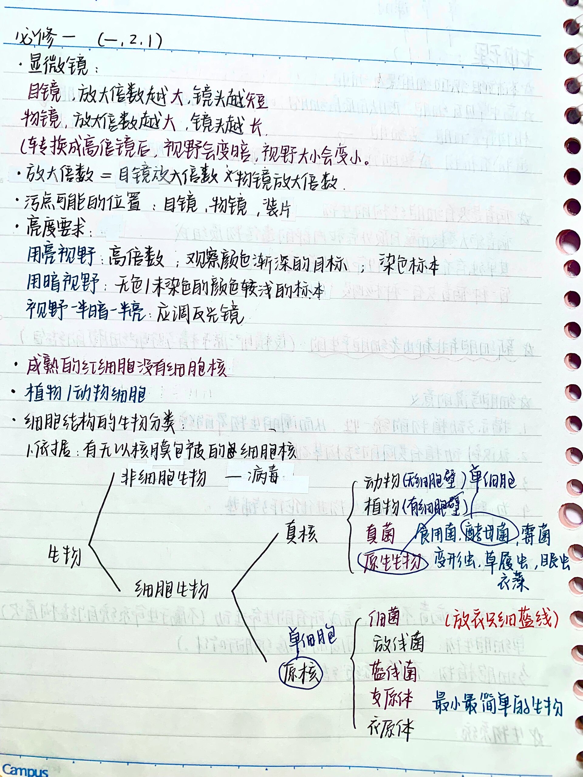 高中生物笔记整理手抄图片