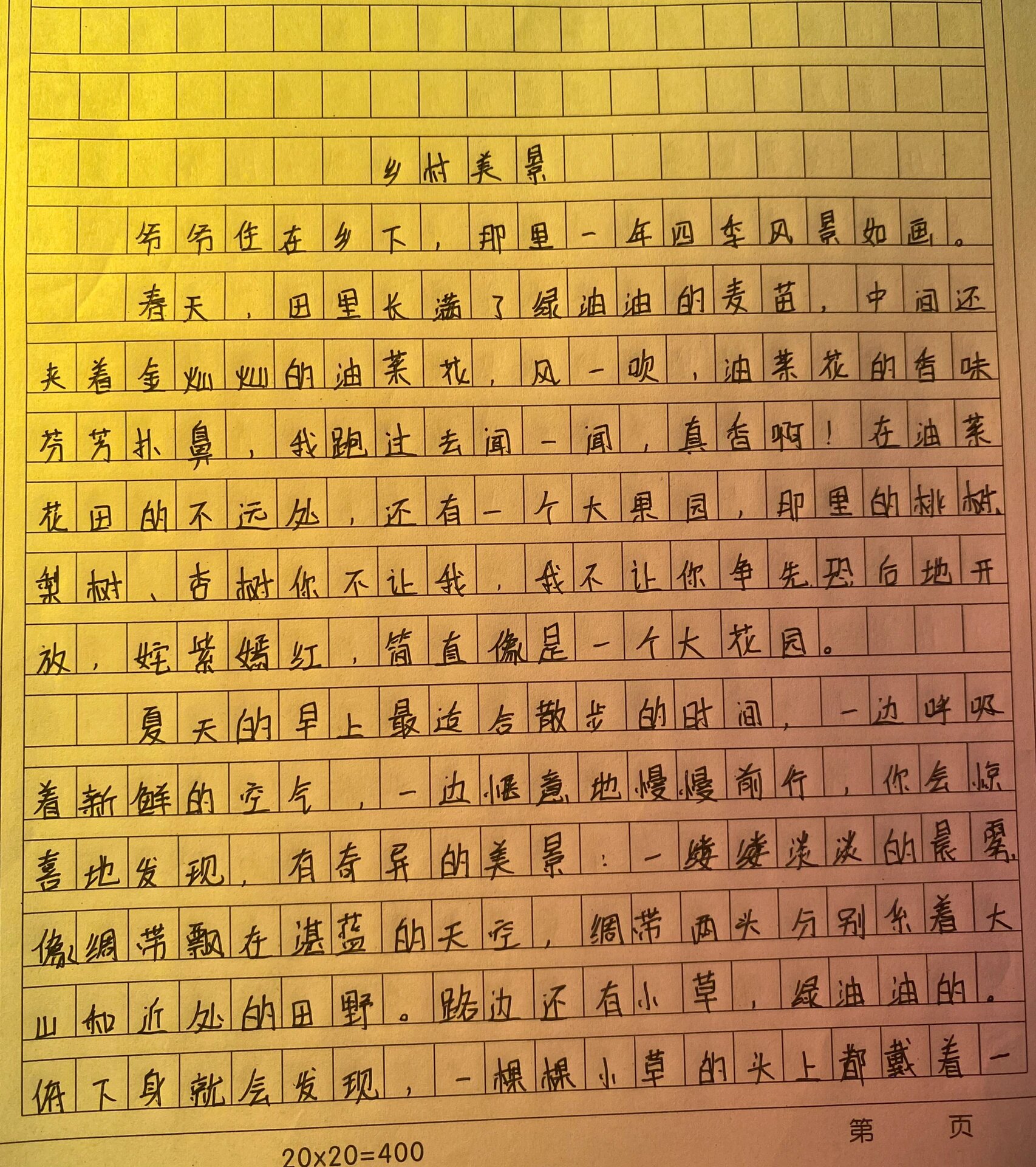 作文《乡村美景》