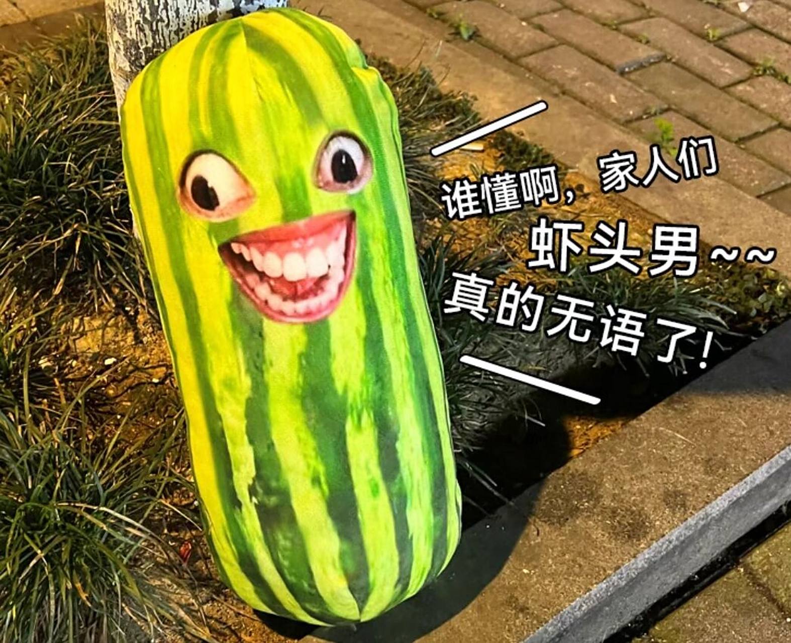 家人们谁懂啊,有些惊悚 抖音上很火的西瓜条,每次看到都想笑,到底是谁