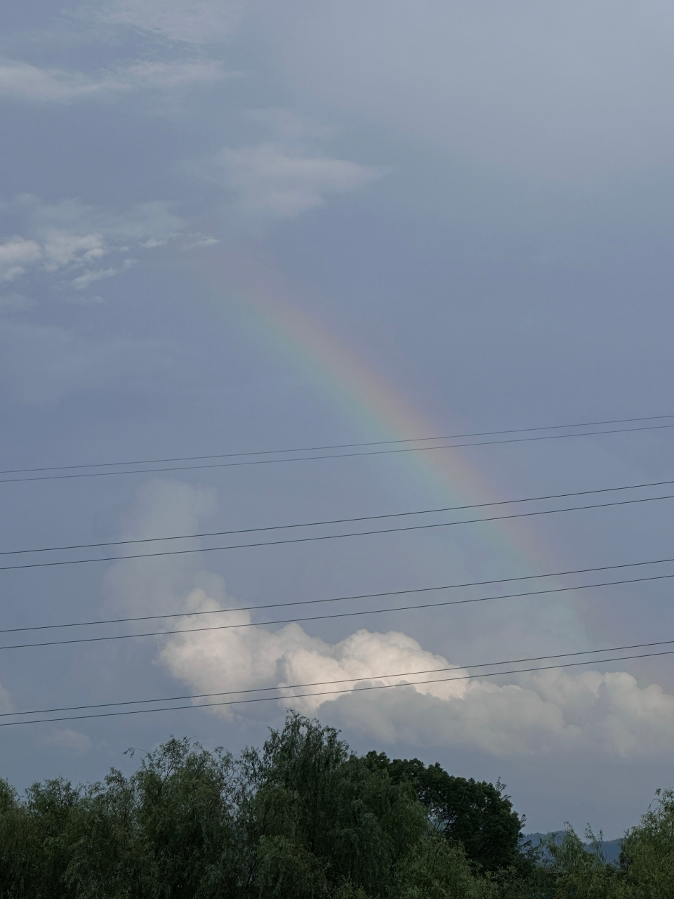 抬头见96 好运传递 见者有份 天天开心哦06