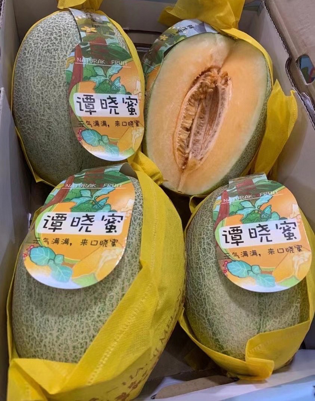 今日介绍:晓蜜 晓蜜瓜是哈密瓜品种之一,它果肉清脆,香甜美味,糖度更