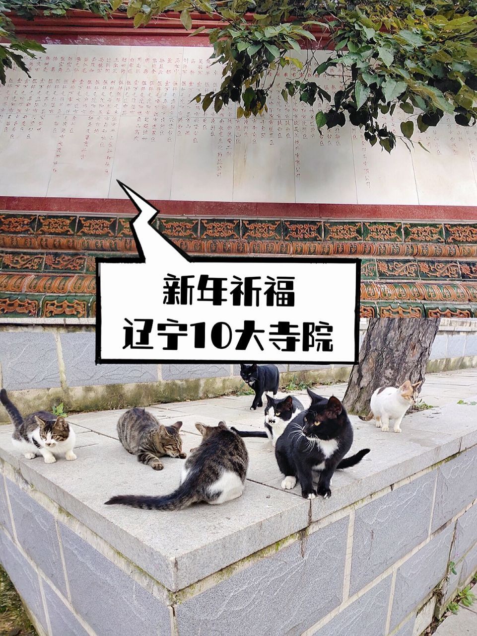 新年祈福/遼寧香火旺的10個寺院 96海城大悲寺位於海城市毛祁鎮一