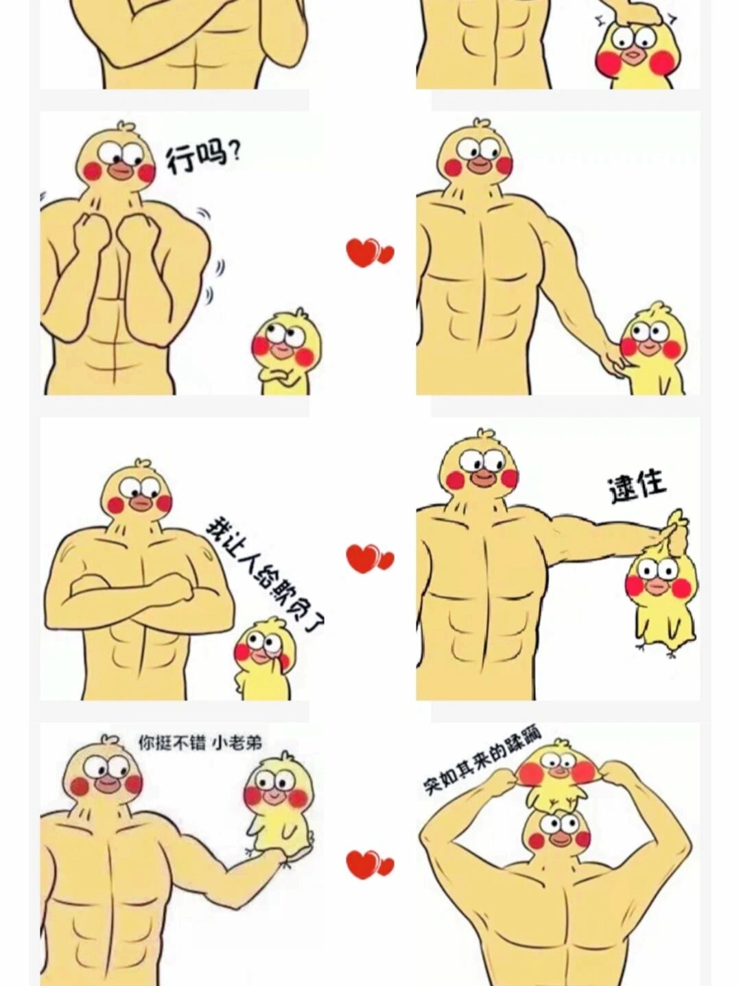 还有人没有鹦鹉兄弟表情包嘛