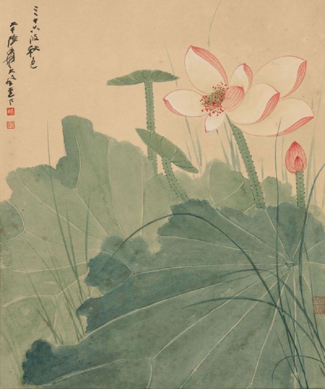 风姿卓绰—张大千画荷 张大千(1899—1983),四川内江人,祖籍广东省
