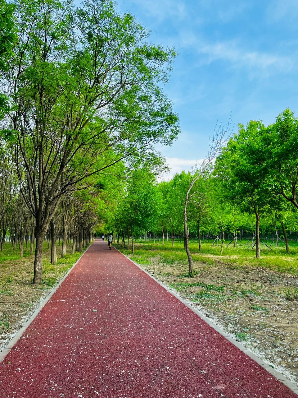 的往返路段,下面画几个重点: 99路线起点和终点:温榆河绿道全程很长