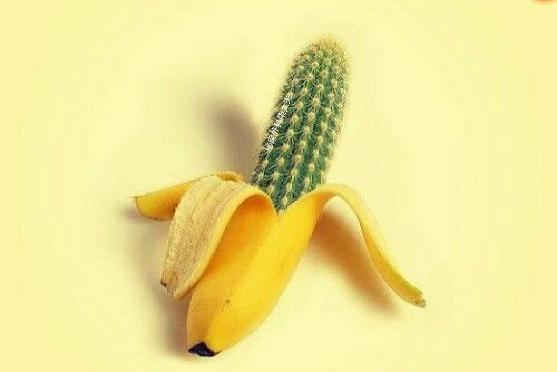 感谢这位朋友没有直接把丁丁图发给我!